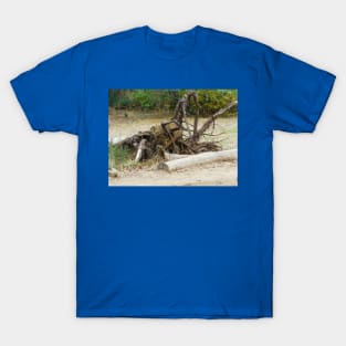 Nefarious nature T-Shirt